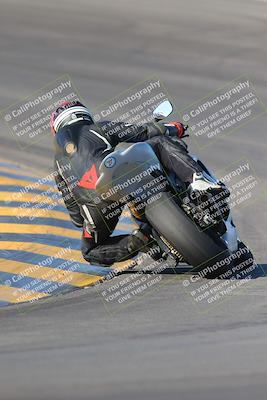 media/Nov-12-2023-SoCal Trackdays (Sun) [[5d1fba4e7d]]/Turn 10 Backside (115pm)/